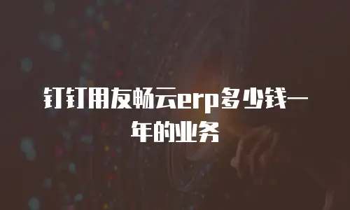 钉钉用友畅云erp多少钱一年的业务