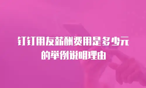 钉钉用友薪酬费用是多少元的举例说明理由