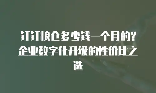 钉钉粮仓多少钱一个月的？企业数字化升级的性价比之选