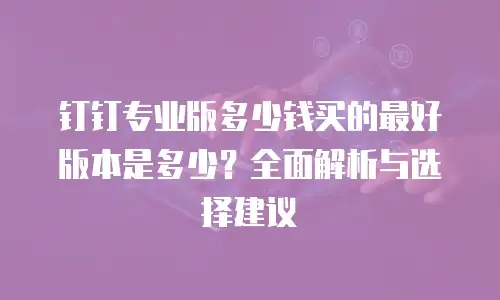 钉钉专业版多少钱买的最好版本是多少？全面解析与选择建议
