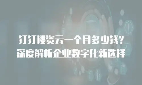钉钉楼资云一个月多少钱？深度解析企业数字化新选择