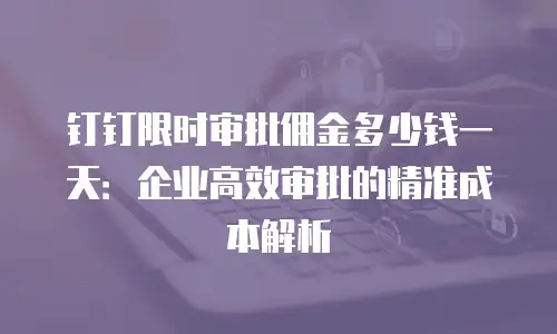 钉钉限时审批佣金多少钱一天：企业高效审批的精准成本解析