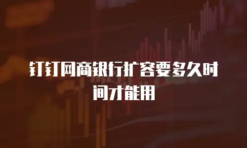 钉钉网商银行扩容要多久时间才能用