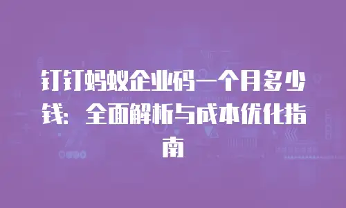 钉钉蚂蚁企业码一个月多少钱：全面解析与成本优化指南