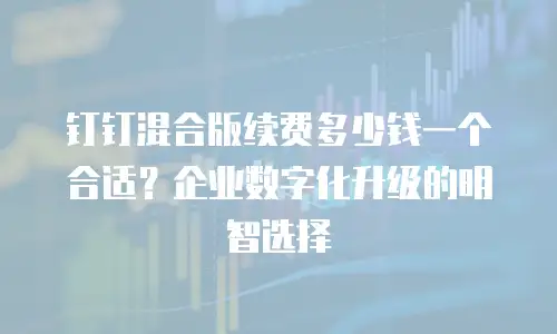 钉钉混合版续费多少钱一个合适？企业数字化升级的明智选择
