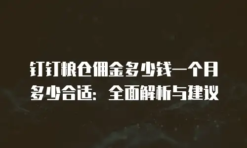 钉钉粮仓佣金多少钱一个月多少合适：全面解析与建议