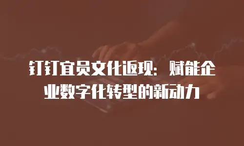 钉钉宜员文化返现：赋能企业数字化转型的新动力