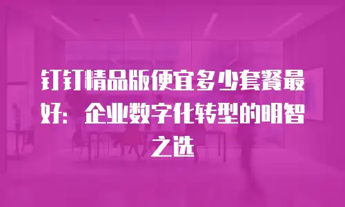 钉钉精品版便宜多少套餐最好：企业数字化转型的明智之选