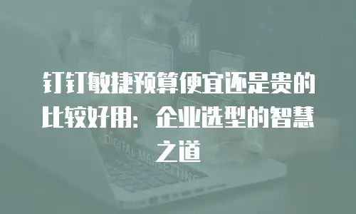 钉钉敏捷预算便宜还是贵的比较好用：企业选型的智慧之道