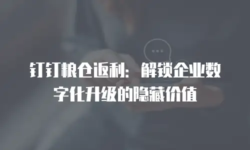 钉钉粮仓返利：解锁企业数字化升级的隐藏价值