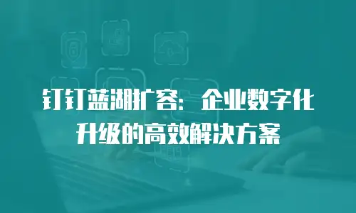 钉钉蓝湖扩容：企业数字化升级的高效解决方案
