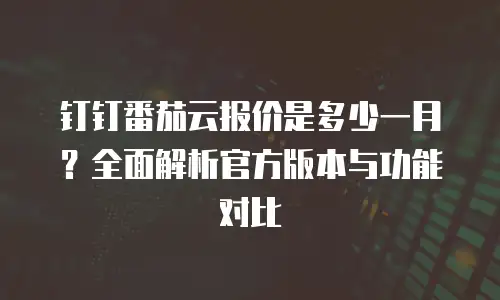 钉钉番茄云报价是多少一月？全面解析官方版本与功能对比