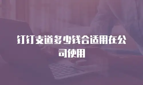 钉钉支道多少钱合适用在公司使用