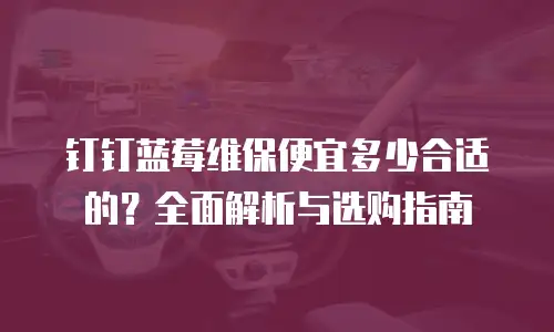钉钉蓝莓维保便宜多少合适的？全面解析与选购指南