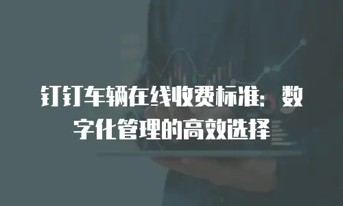 钉钉车辆在线收费标准：数字化管理的高效选择