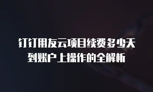 钉钉用友云项目续费多少天到账户上操作的全解析