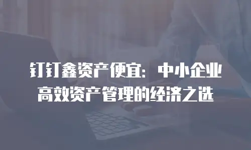 钉钉鑫资产便宜：中小企业高效资产管理的经济之选