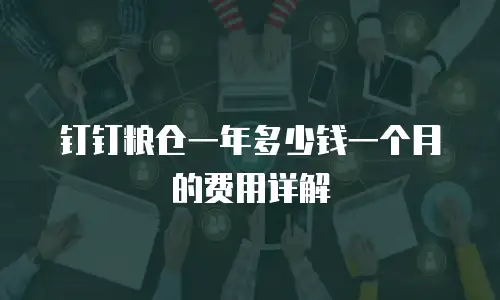 钉钉粮仓一年多少钱一个月的费用详解