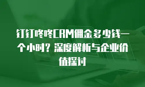 钉钉咚咚CRM佣金多少钱一个小时？深度解析与企业价值探讨