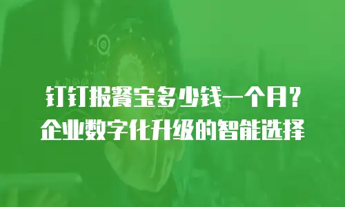 钉钉报餐宝多少钱一个月？企业数字化升级的智能选择