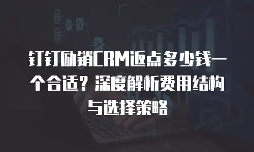 钉钉励销CRM返点多少钱一个合适？深度解析费用结构与选择策略