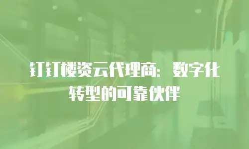 钉钉楼资云代理商：数字化转型的可靠伙伴