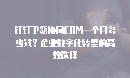钉钉卫瓴协同CRM一个月多少钱？企业数字化转型的高效选择