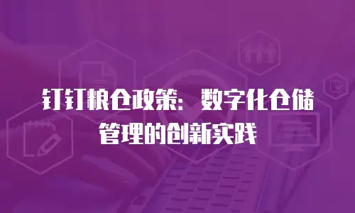 钉钉粮仓政策：数字化仓储管理的创新实践