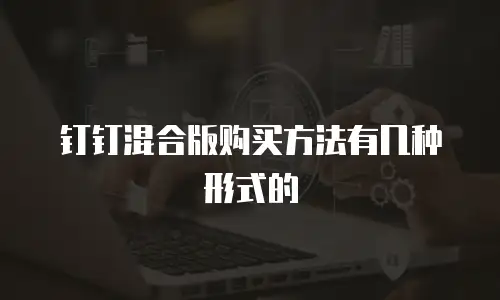 钉钉混合版购买方法有几种形式的