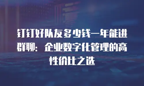 钉钉好队友多少钱一年能进群聊：企业数字化管理的高性价比之选