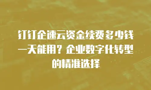 钉钉企速云资金续费多少钱一天能用？企业数字化转型的精准选择
