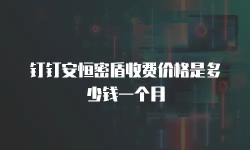 钉钉安恒密盾收费价格是多少钱一个月