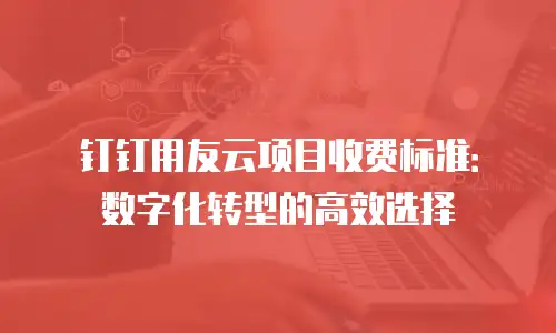 钉钉用友云项目收费标准：数字化转型的高效选择