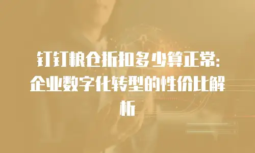 钉钉粮仓折扣多少算正常：企业数字化转型的性价比解析