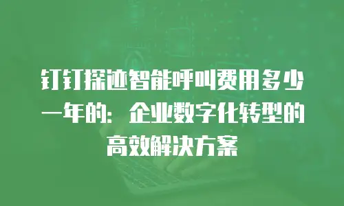 钉钉探迹智能呼叫费用多少一年的：企业数字化转型的高效解决方案