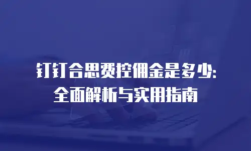 钉钉合思费控佣金是多少：全面解析与实用指南