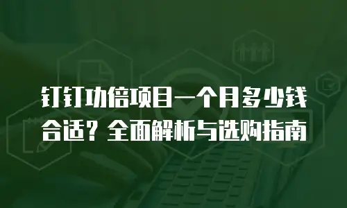钉钉功倍项目一个月多少钱合适？全面解析与选购指南