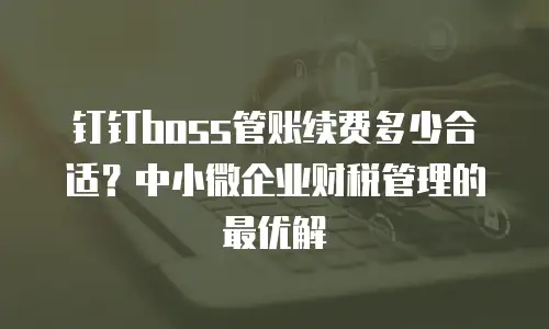 钉钉boss管账续费多少合适？中小微企业财税管理的最优解