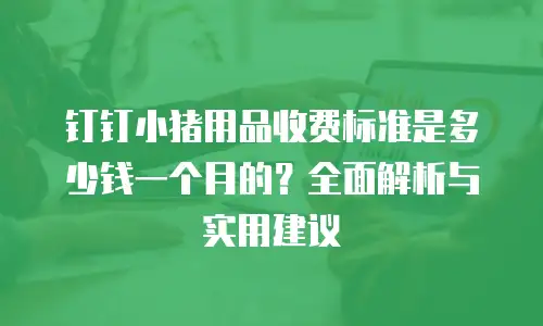 钉钉小猪用品收费标准是多少钱一个月的？全面解析与实用建议