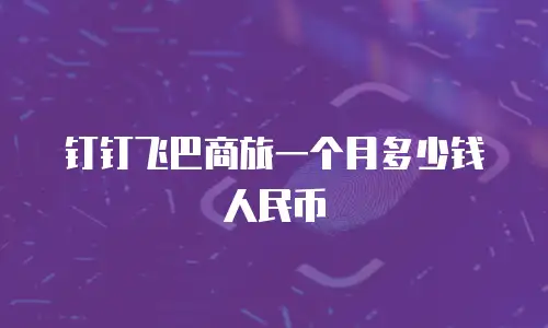 钉钉飞巴商旅一个月多少钱人民币