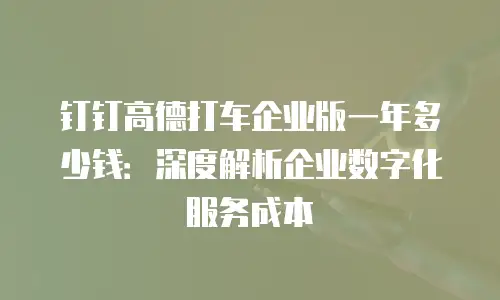 钉钉高德打车企业版一年多少钱：深度解析企业数字化服务成本