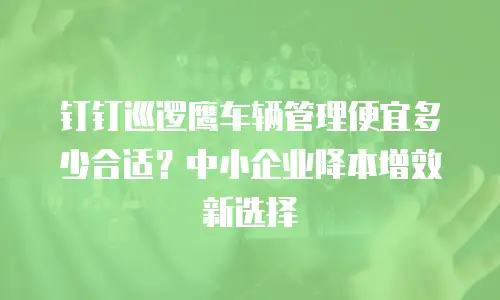 钉钉巡逻鹰车辆管理便宜多少合适？中小企业降本增效新选择
