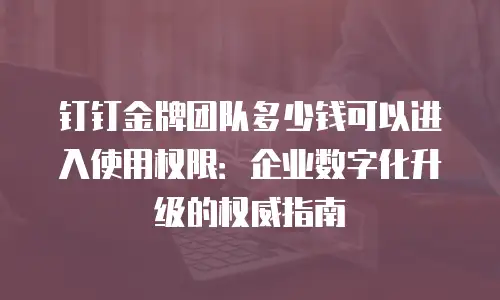 钉钉金牌团队多少钱可以进入使用权限：企业数字化升级的权威指南