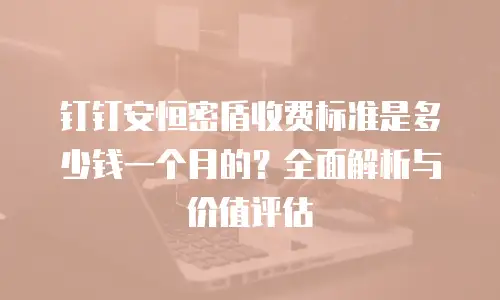 钉钉安恒密盾收费标准是多少钱一个月的？全面解析与价值评估