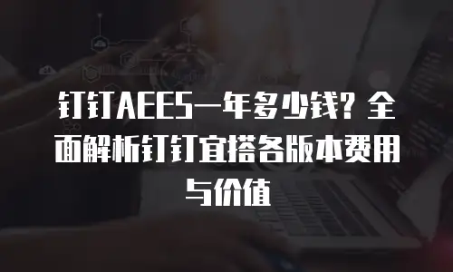 钉钉AEES一年多少钱？全面解析钉钉宜搭各版本费用与价值
