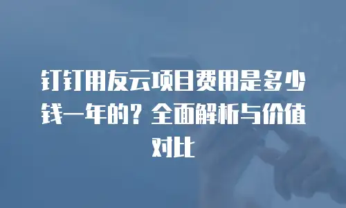 钉钉用友云项目费用是多少钱一年的？全面解析与价值对比