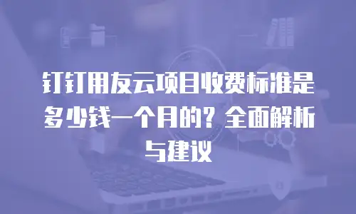 钉钉用友云项目收费标准是多少钱一个月的？全面解析与建议