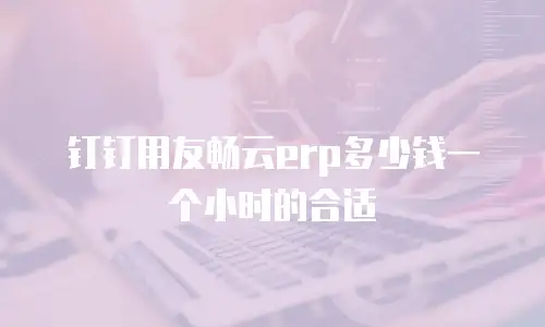 钉钉用友畅云erp多少钱一个小时的合适