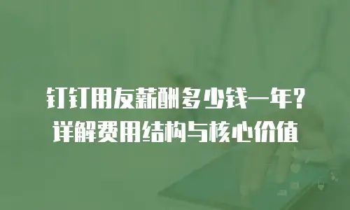 钉钉用友薪酬多少钱一年？详解费用结构与核心价值