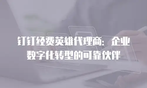 钉钉经费英雄代理商：企业数字化转型的可靠伙伴